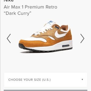 Air Max 1 Premium Dark Curry Size 12